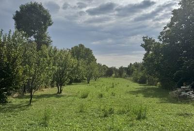 Teren de 1503 mp, în Brebu