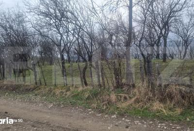Teren de 3781 mp, în Izvoarele - 8