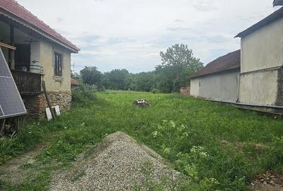Casă cu Teren 3500 Mp în Stănești