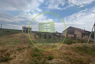 Teren Construcții intravilan de 5000 mp, în Breasta - 1