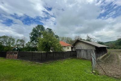 Casă cu 2 camere în Alimpești - 2