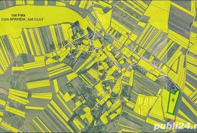 Teren de 17900 mp, în Pata - 1