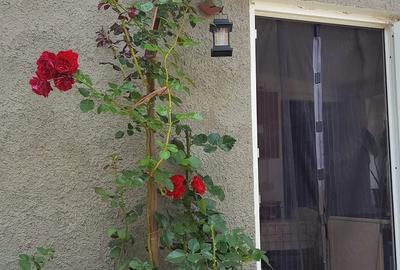 Casă cu 3 camere cu Teren 348 Mp în Central