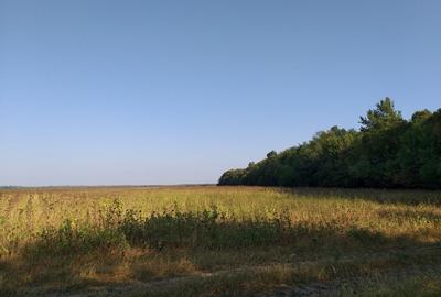 Teren agricol extravilan de 270000 mp, în Bâldana - 2