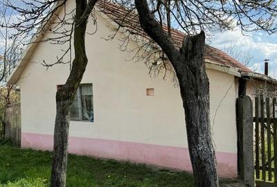 Casă cu 2 camere cu Teren 80 Mp în Chevereșu Mare - 2