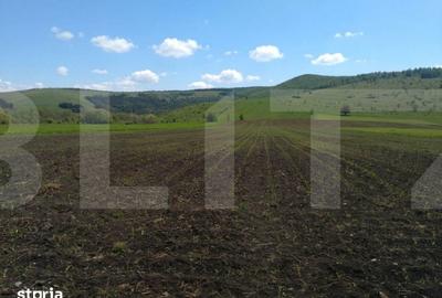 Teren de 48100 mp, în Petros