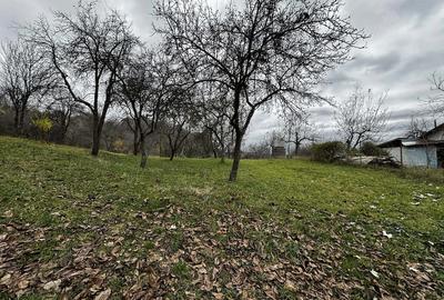 Teren de 1422 mp, în Dobrotu - 1