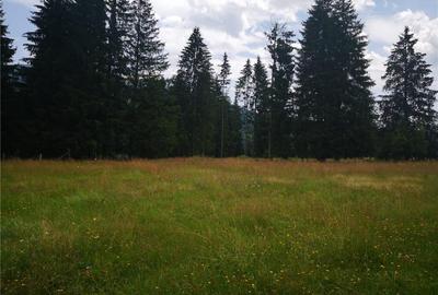Teren de 50000 mp, în Central - 3