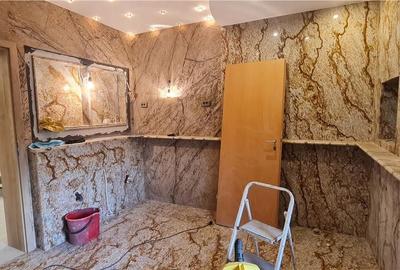 Casă cu 7 camere cu Teren 559 Mp în Elisabetin - 3