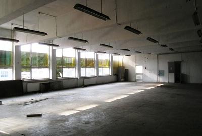 Spațiu industrial, de 290 mp, în Gorjului
