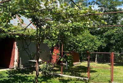 Casă cu 3 camere cu Teren 1000 Mp în Corbii Mari - 10