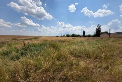 Teren în Bucovăț