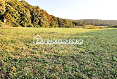 Teren Construcții extravilan de 29759 mp, în Livezeni - 2