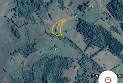 Teren de 3200 mp, în Dâmbovicioara - 8