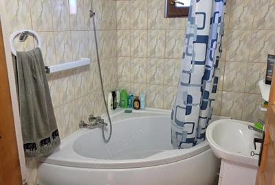 Casă cu 4 camere cu Teren 1650 Mp în Făget - 4