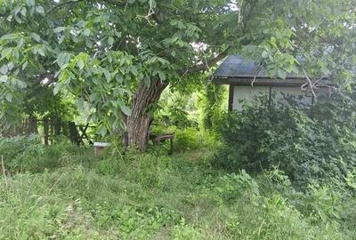 Teren de 5500 mp, în Vernești - 8