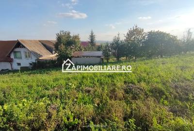 Teren Construcții intravilan de 2248 mp, în Nazna - 7