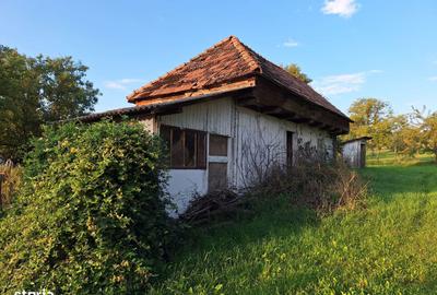 Teren de 29463 mp, în Vătava - 11