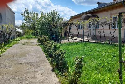 Casă individuală cu 5 camere cu Teren 1260 Mp în Afumați - 6