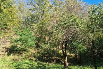 Teren de 3720 mp, în Govora - 6