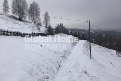 Teren Construcții intravilan de 725 mp, în Moieciu de Jos - 5