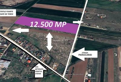 Teren Construcții intravilan de 12500 mp, în Periș - 1