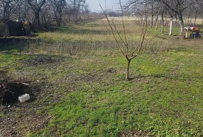 Casă cu Teren 35 Mp în Central