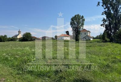 Teren Construcții intravilan de 5694 mp, în Micești - 2
