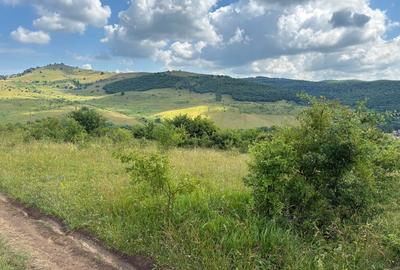 Teren agricol extravilan de 974 mp, în Ciurila - 1