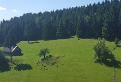 Teren de 7000 mp, în Fundata - 5