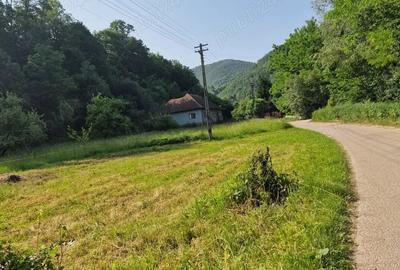 Teren de 1981 mp, în Ormindea - 6