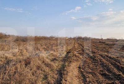 Teren de 7600 mp, în Rovine