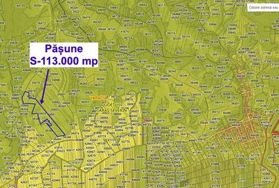 Teren agricol extravilan de 113000 mp, în Vărădia - 2