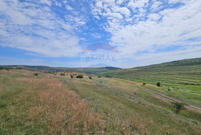 Teren agricol extravilan de 11600 mp, în Câmpenești - 2