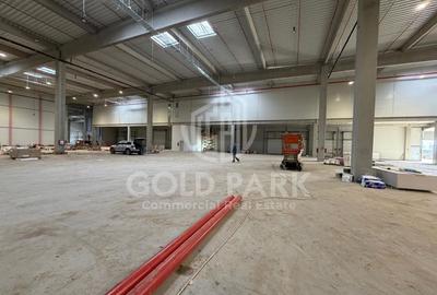 Spațiu industrial, de 6,000 mp, în Florești - 11