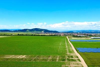 Teren agricol extravilan de 225 mp, în Hărman - 2