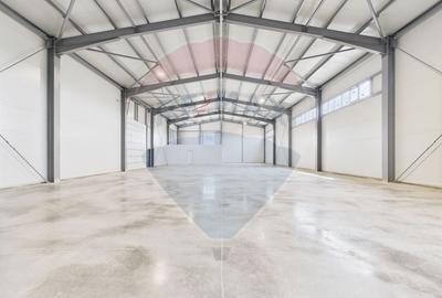 Spațiu industrial, de 600 mp, în Traian - 19