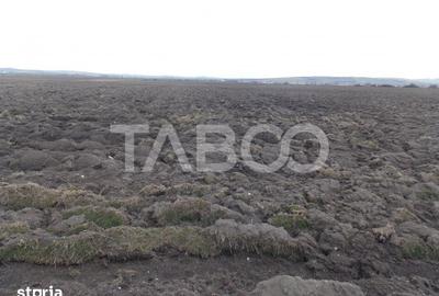 Teren de 10000 mp, în Vest