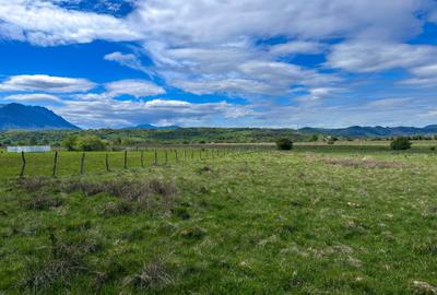 Teren agricol intravilan de 900 mp, în Tohanu Nou - 8