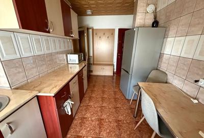 Apartament cu 2 camere nedecomandat în Nufărul - 4