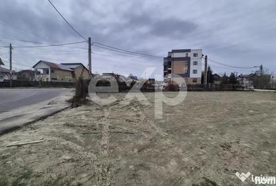 Teren în Trivale