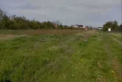 Teren de 5000 mp, în Afumați