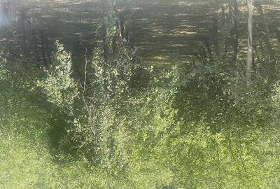 Teren de 9600 mp, în Vlădești