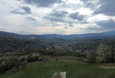 Teren de 8316 mp, în Berislăvești - 1