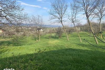 Teren de 6000 mp, în Boldești