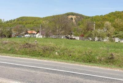 Teren de 2298 mp, în Izvoarele - 3