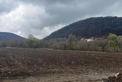 Teren Construcții intravilan de 6700 mp, în Albești