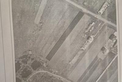 Teren de 3700 mp, în Sadina - 6