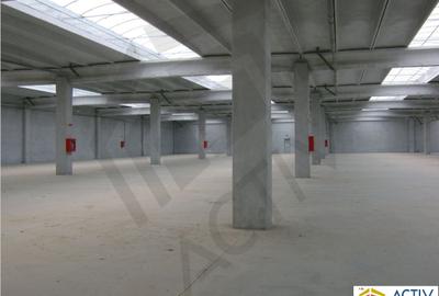 Spațiu industrial, de 6,160 mp, în Glina