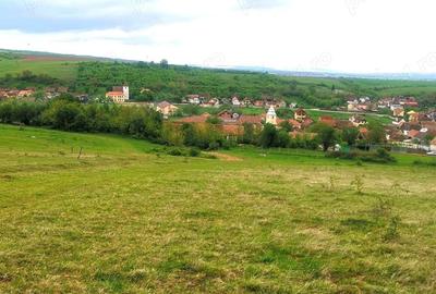 Teren de 3000 mp, în Central - 5